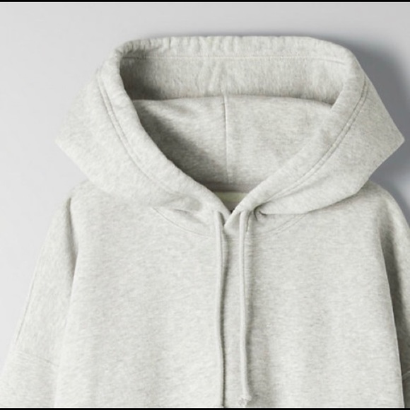 Aritzia Cozy Fleece Boyfriend Hoodie - Picture 2 of 6